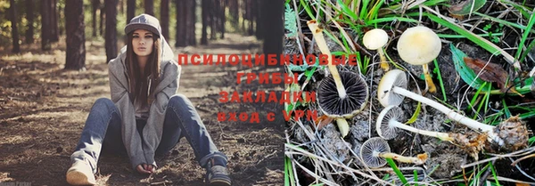 apvp Алексеевка