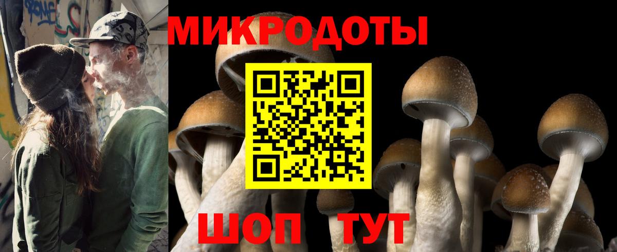 Псилоцибиновые грибы Magic Shrooms  Вход с VPN  где купить наркотик  Амурск 